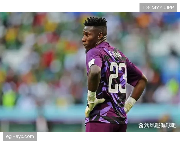 非洲杯小组赛激战落幕，晋级球队强势挺进淘汰赛