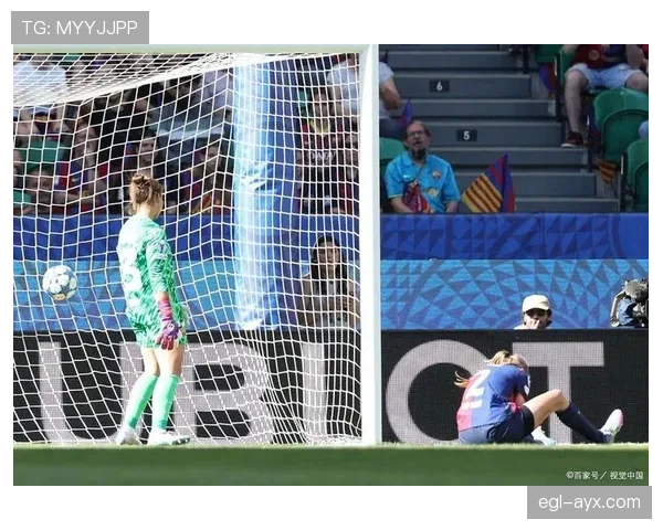 赫拉德茨基状态回暖，助芬兰队成功晋级欧洲杯决赛